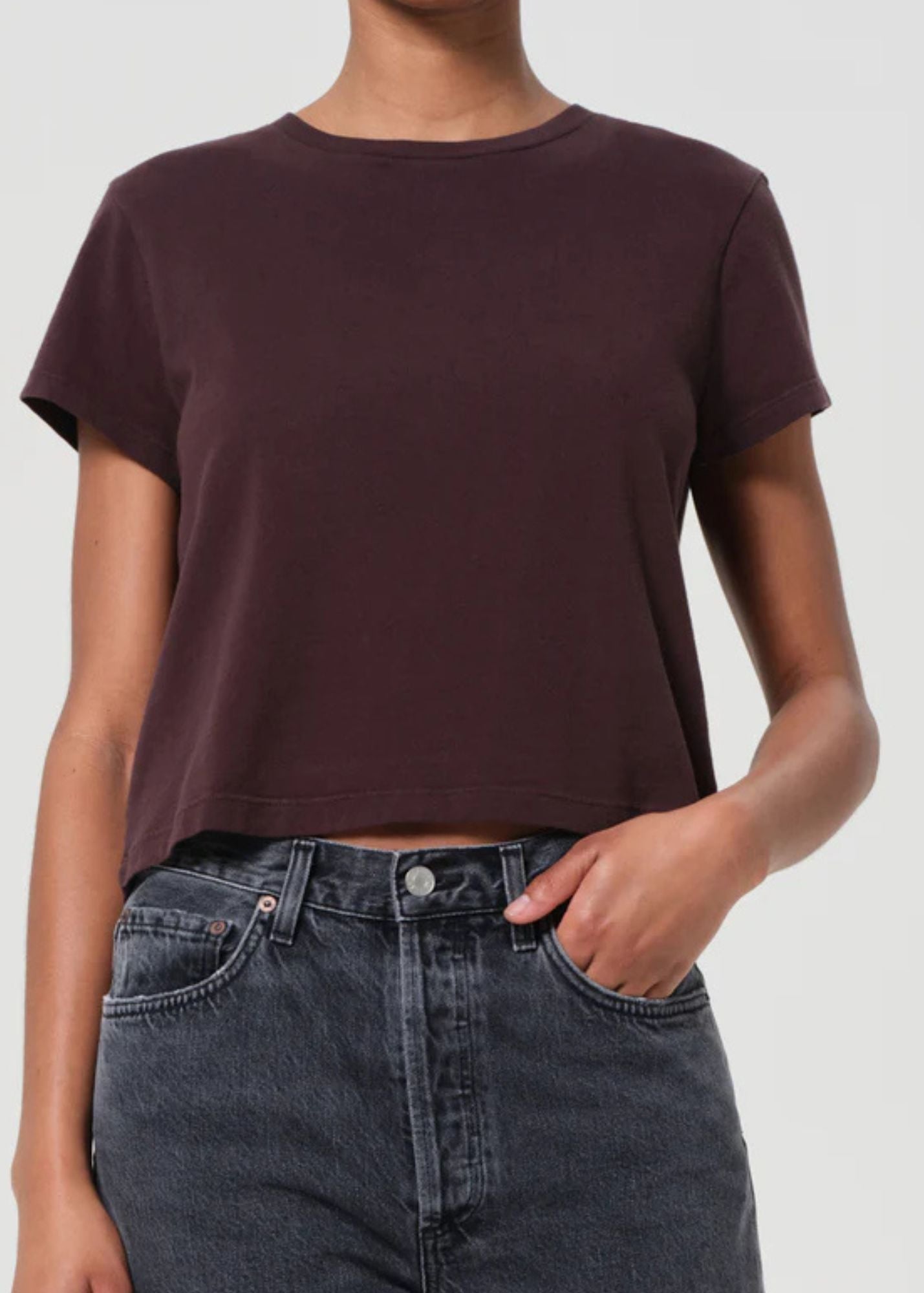 Adine Shrunken Tee in Rosewater main image 1