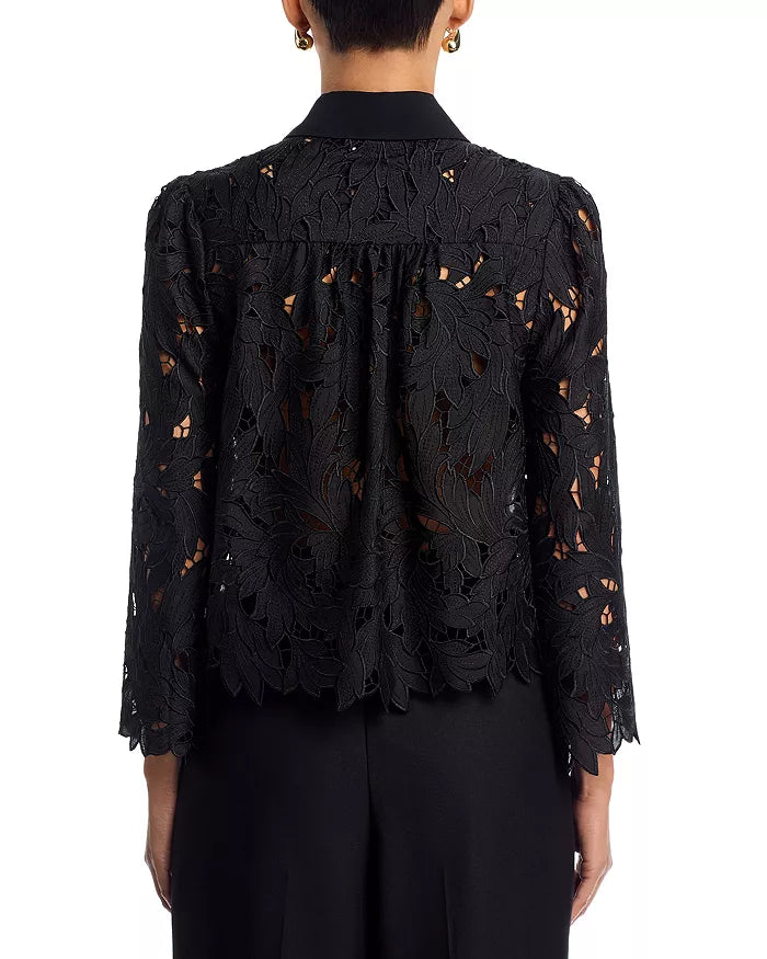 Talsie Embroidered Georgette Combo Shirt