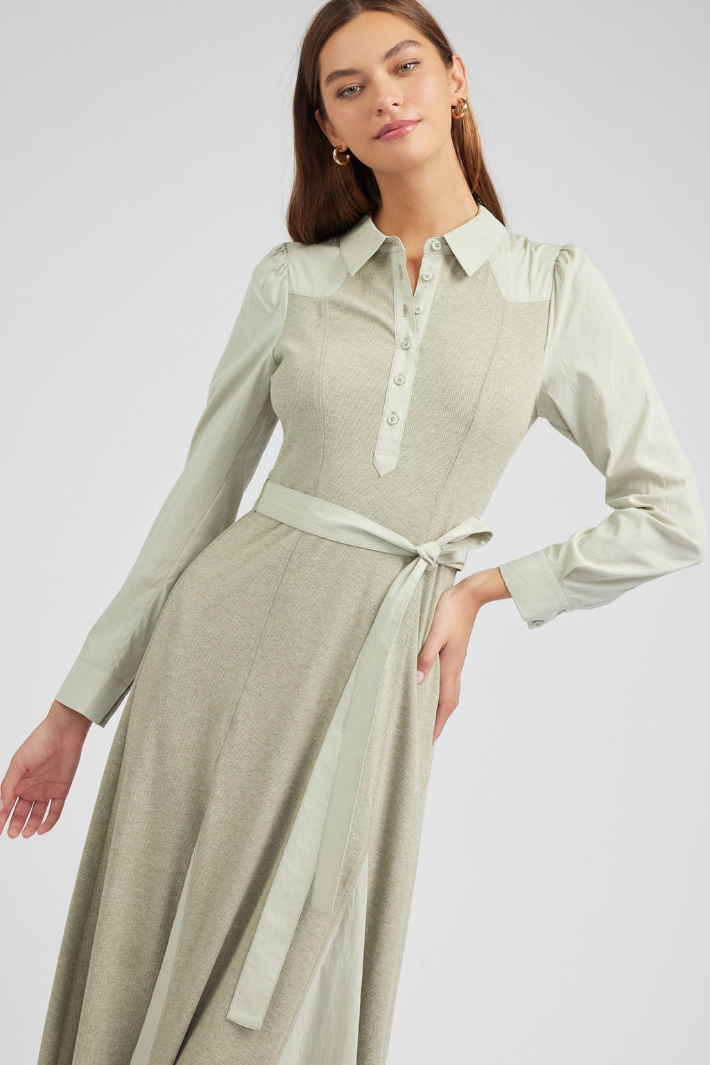 Ford Collar Dress