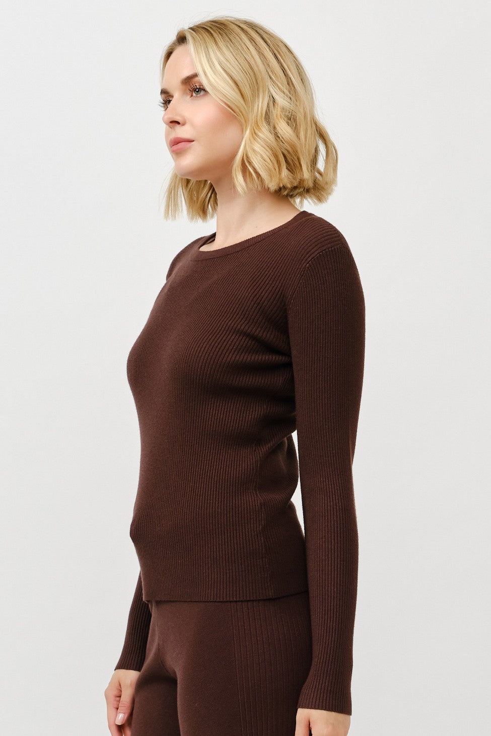 Alani Ribbed Crewneck Sweater- Brown