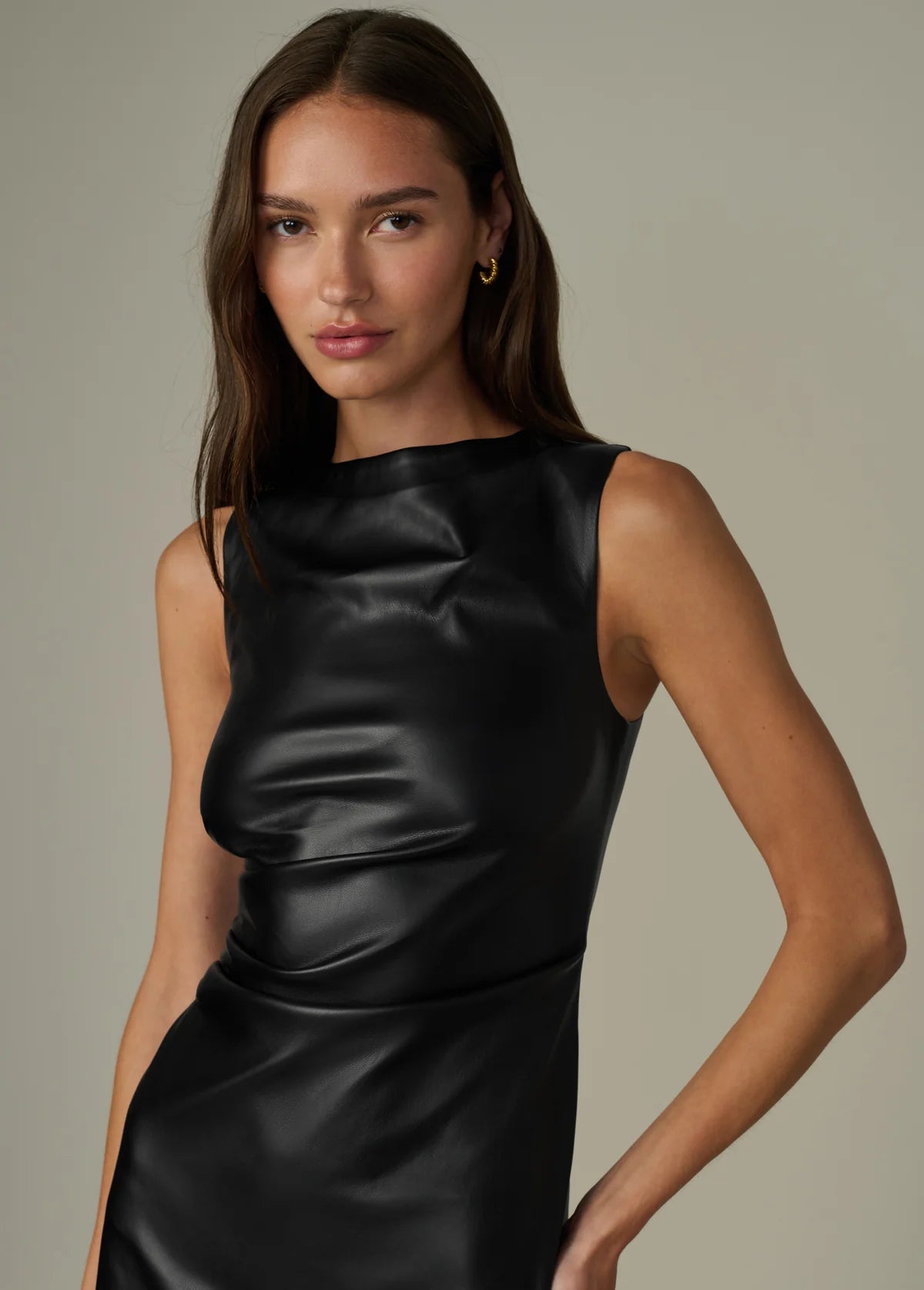The Meg Vegan Leather Dress