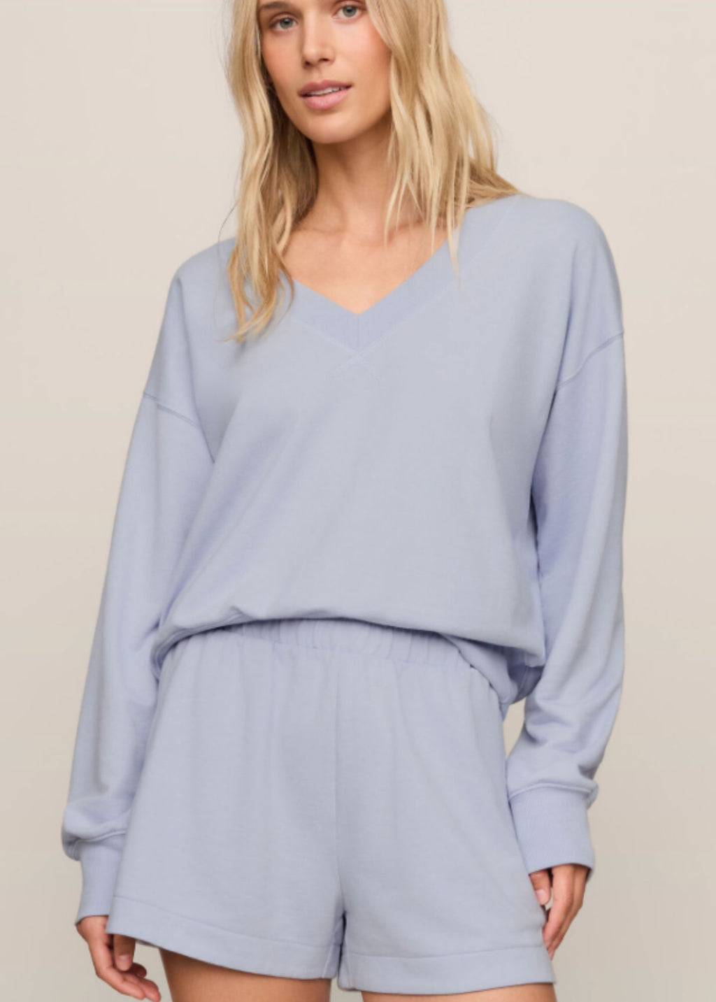 The Everyday V-Neck