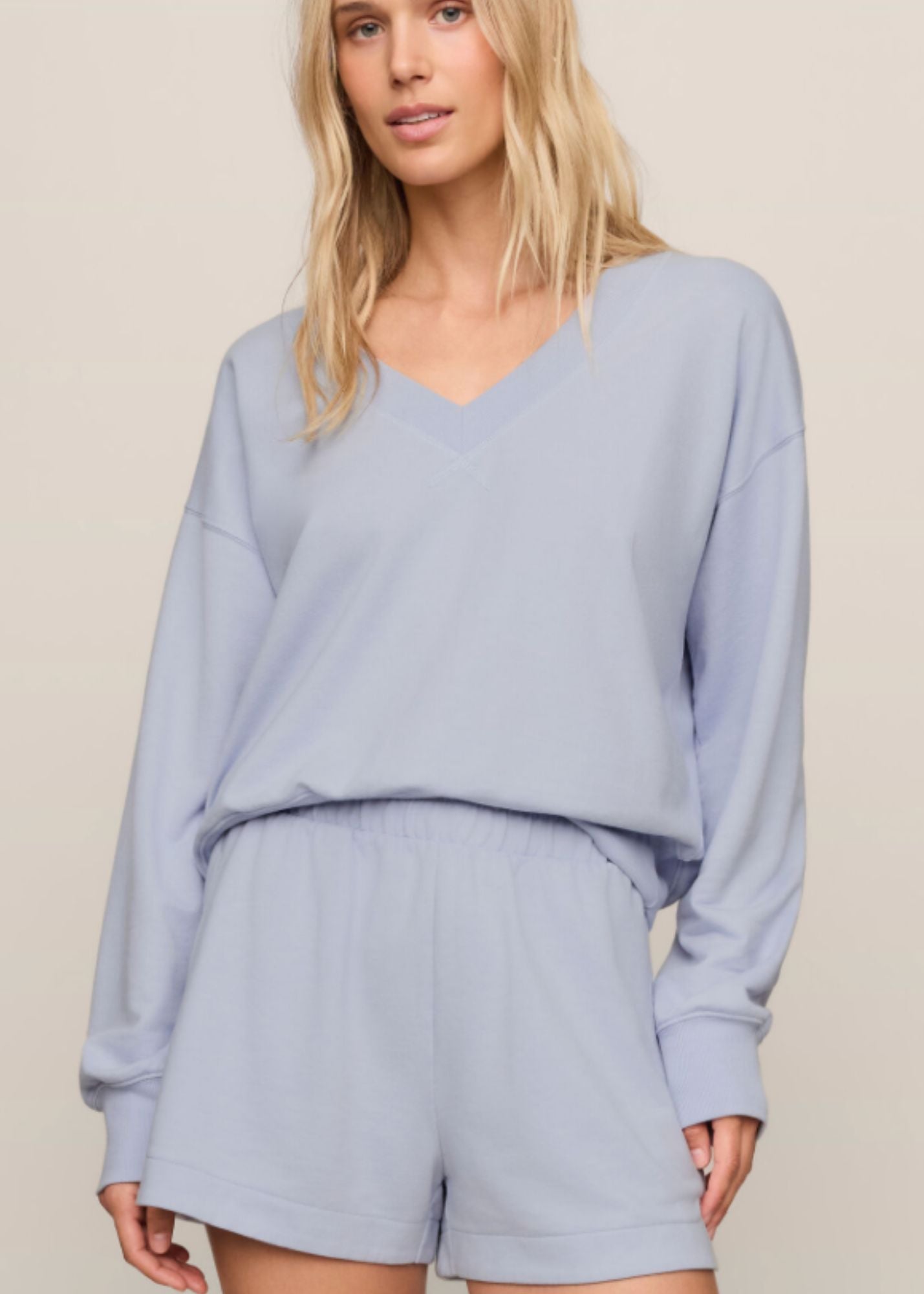 The Everyday V-Neck