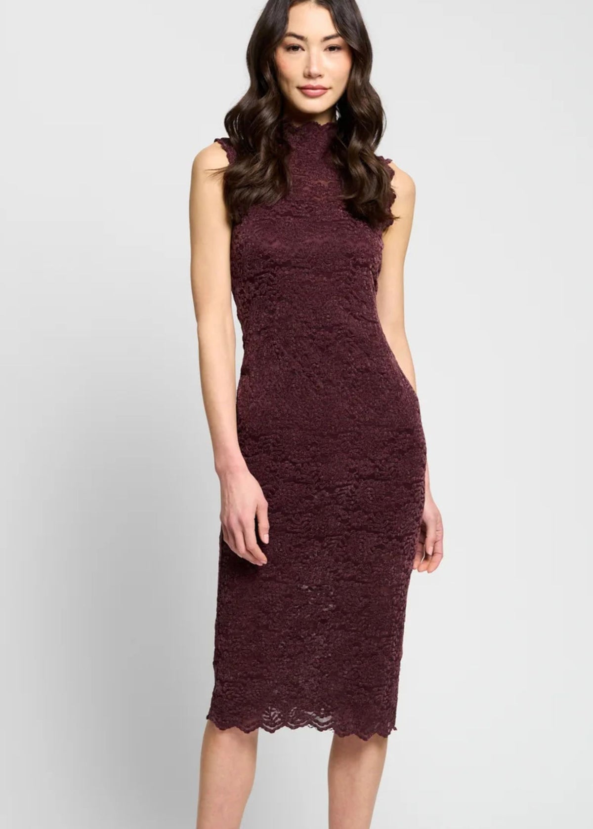 Tessa Sleeveless Stretch Lace Dress