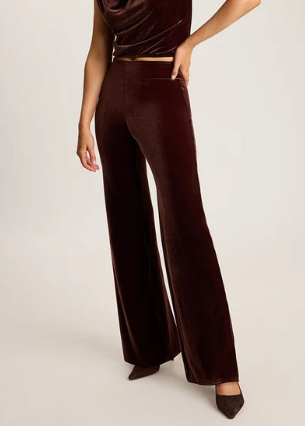 Velvet Wide Leg Pant