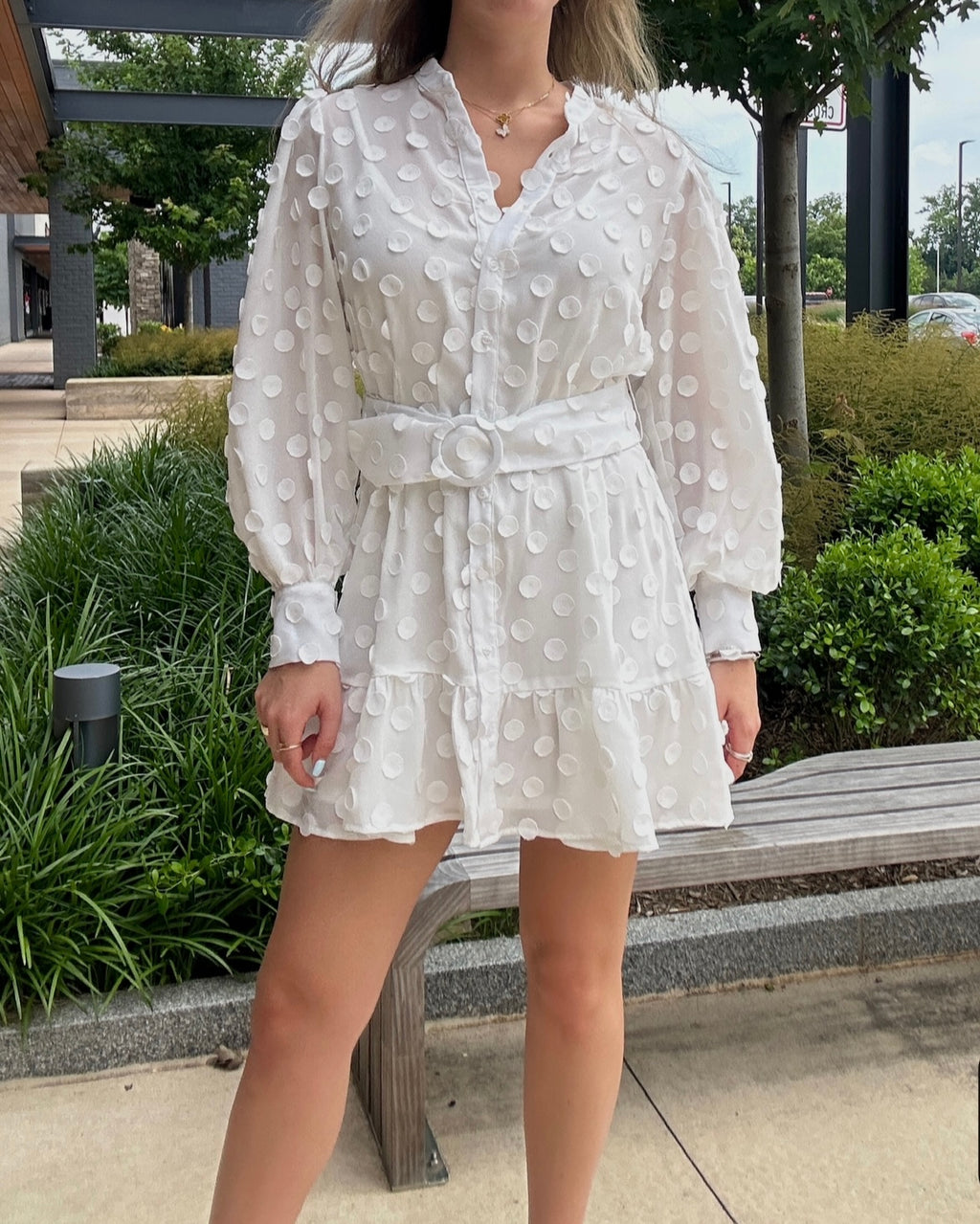 Elizabeth Mini Dress