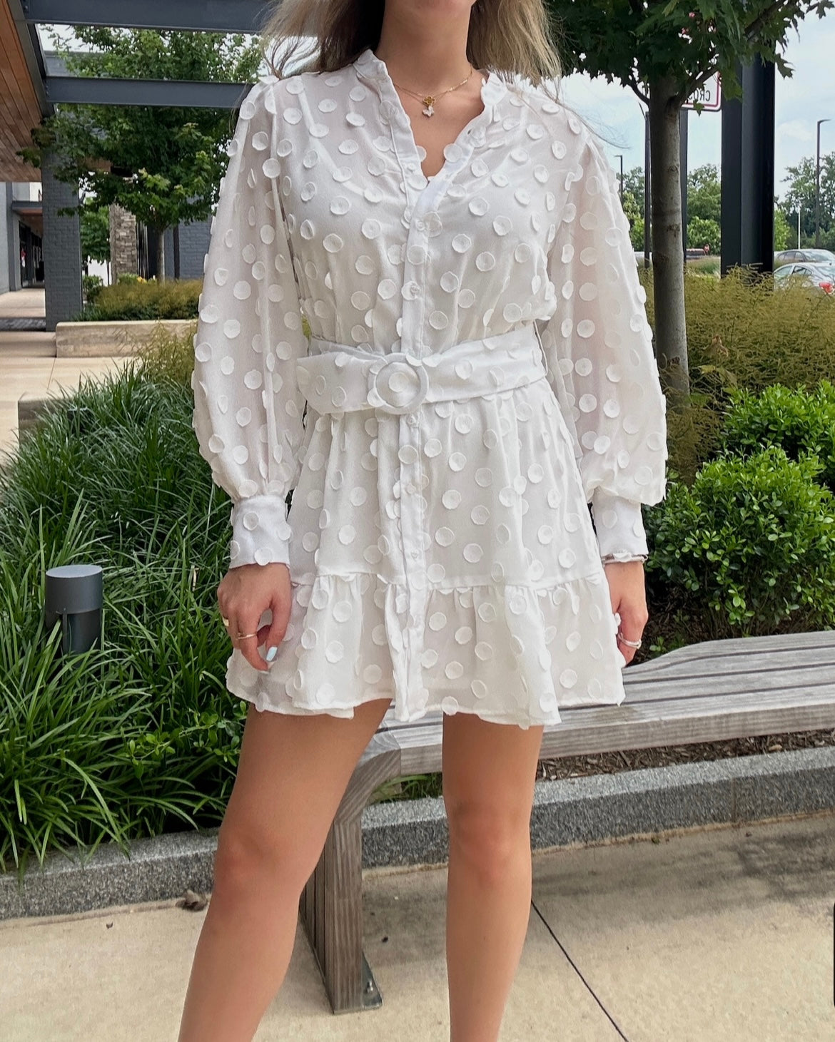 Elizabeth Mini Dress