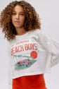 The Beach Boys License Plate Crop LS Merch