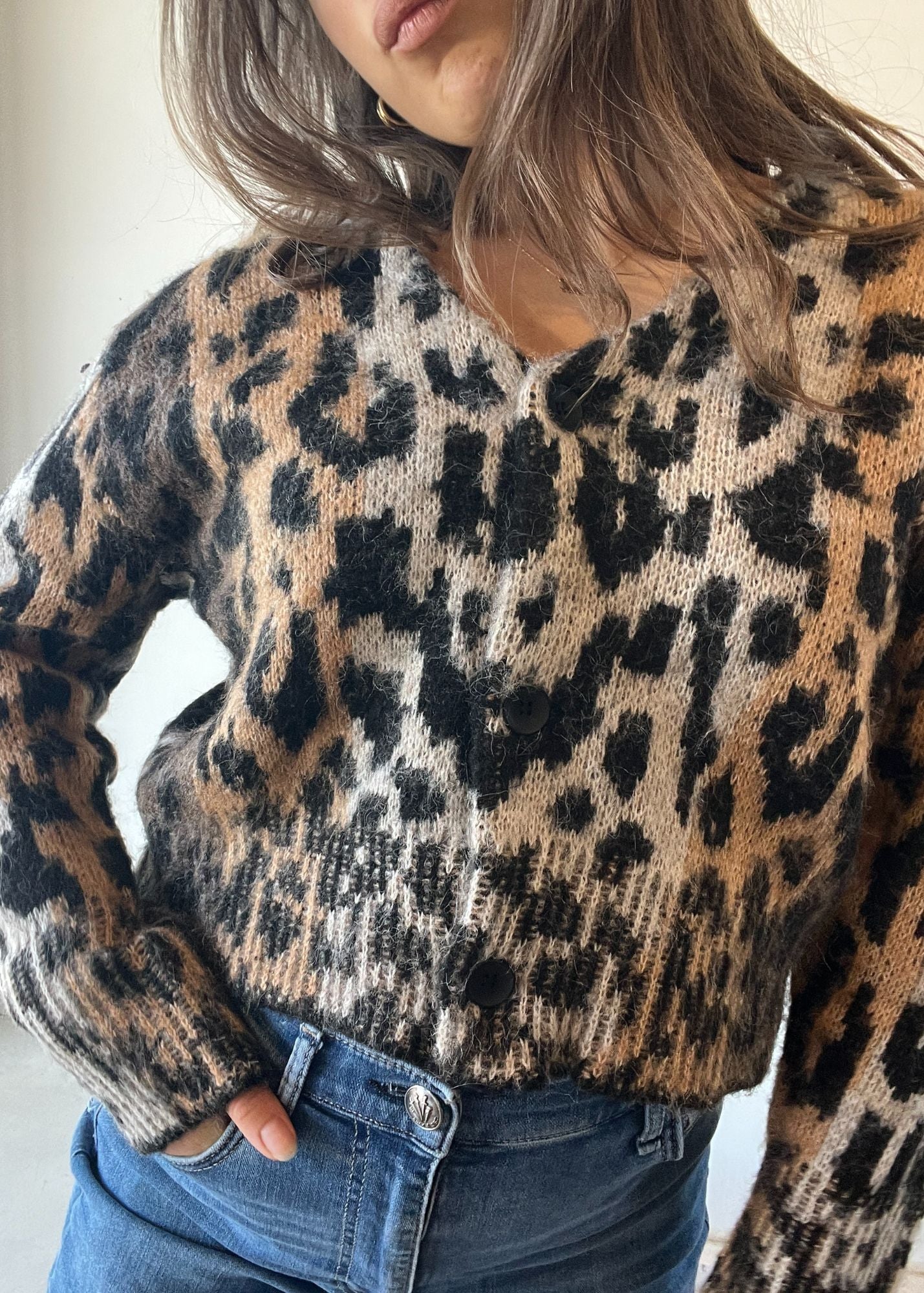 Jordan Cheetah Cardigan