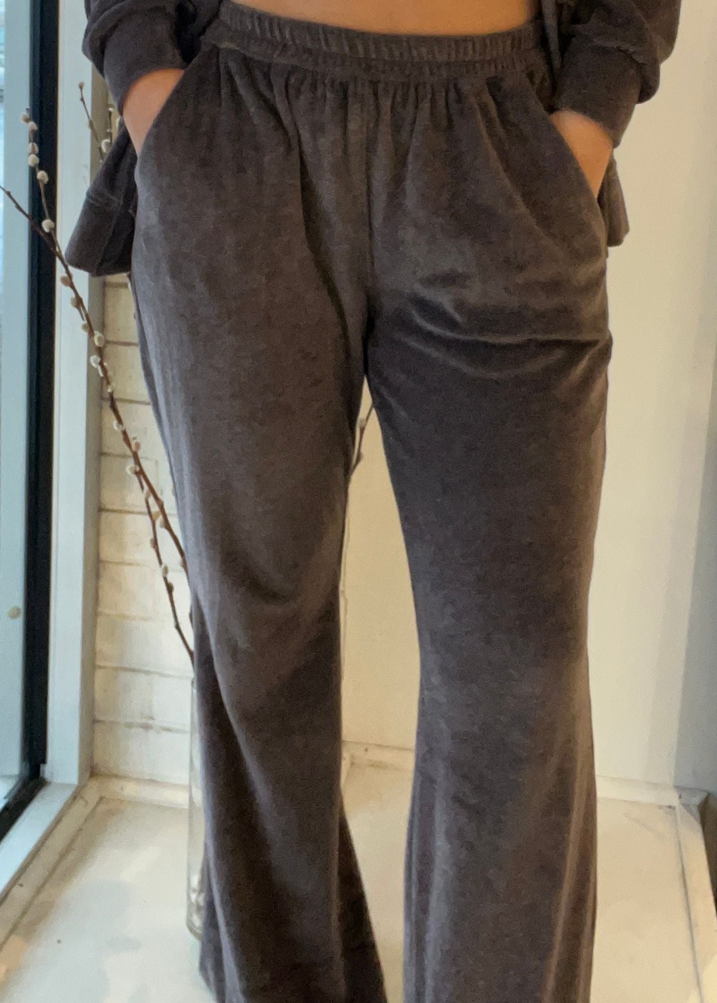 Santa Monica Velour Pant
