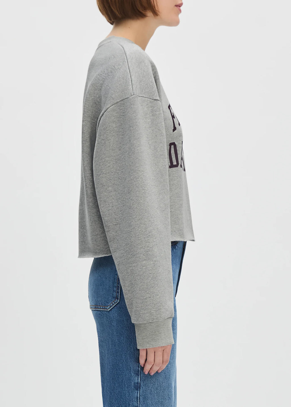 The Cropped Collegiate Sweatshirt