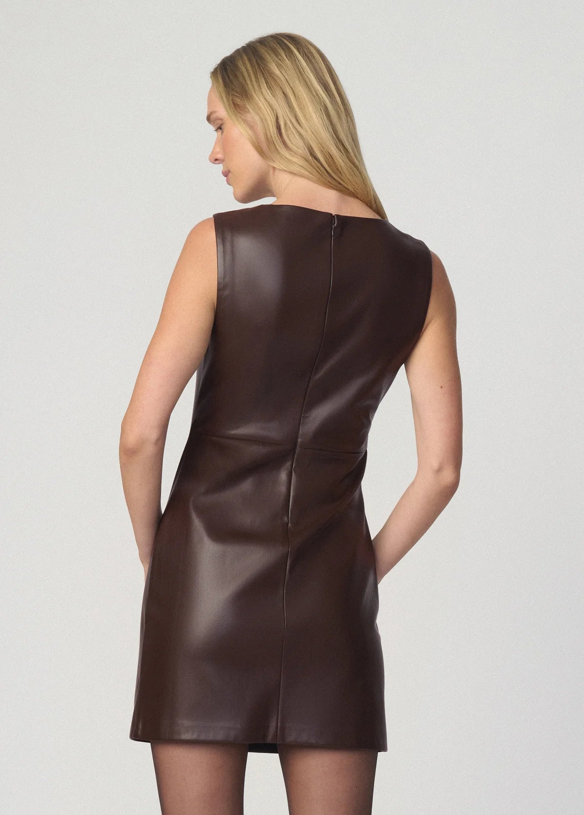 The Meg Vegan Leather Dress